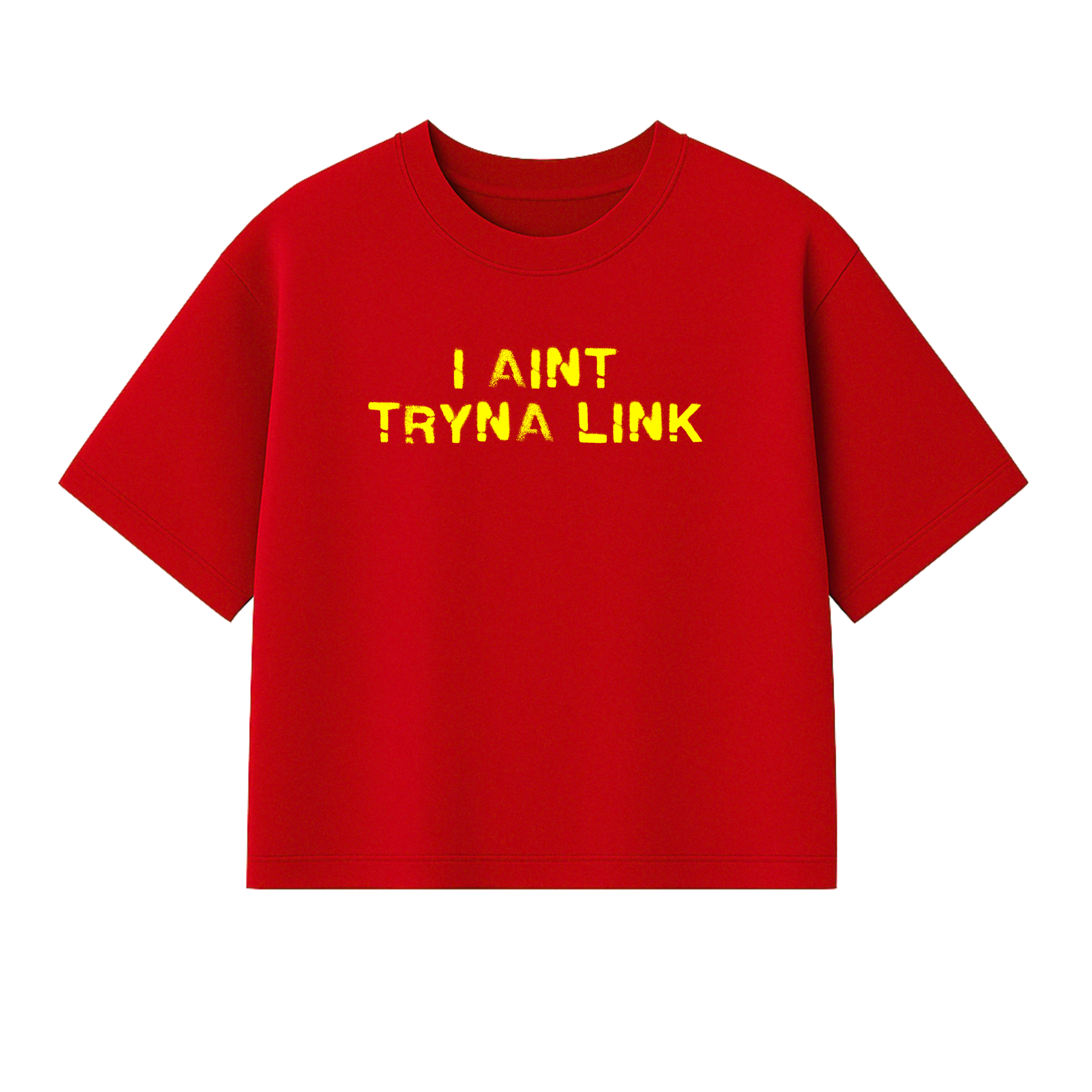 Aint Tryna Link Boxy Heavy Tee