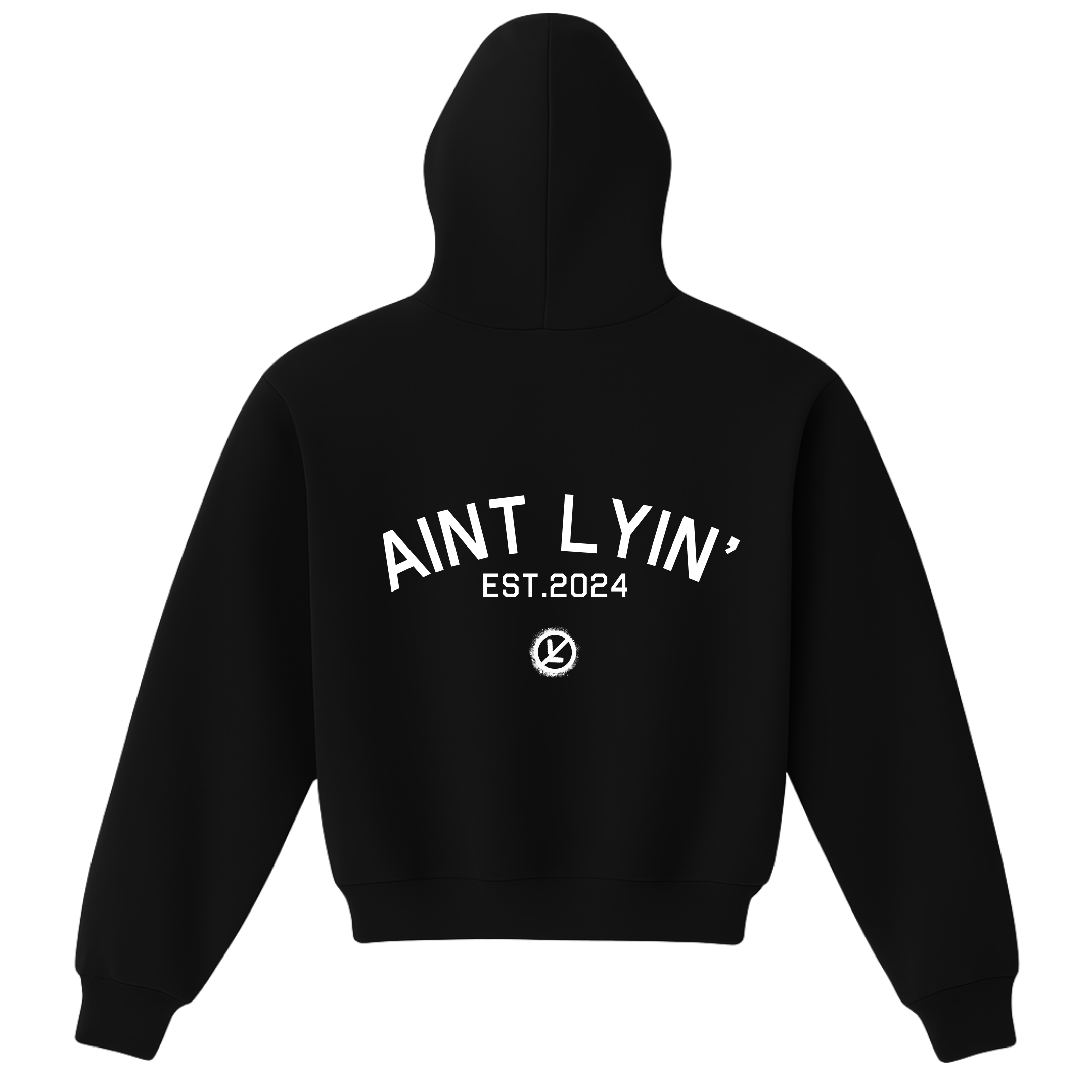 Aint Tryna Link Script Hoodie
